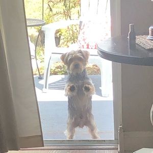 Meet your Posher, Jayden